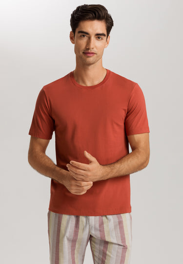 Living Shirts Jersey Cotton Crew Neck T-Shirt | Chutney 75050-2299